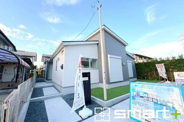 柏花野井24-2期